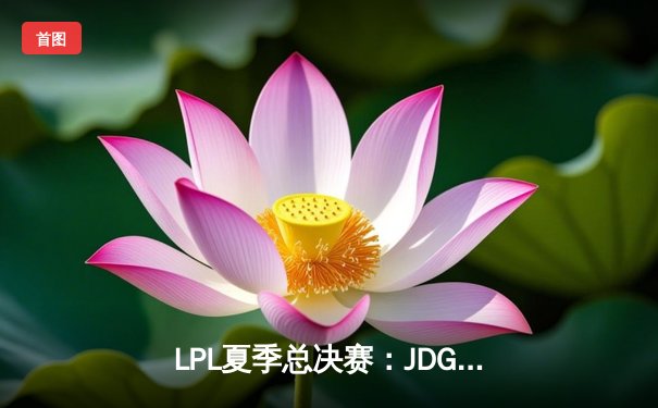 LPL夏季总决赛：JDG鏖战五局力克TES，Knight沙皇绝境翻盘锁定世界赛名额